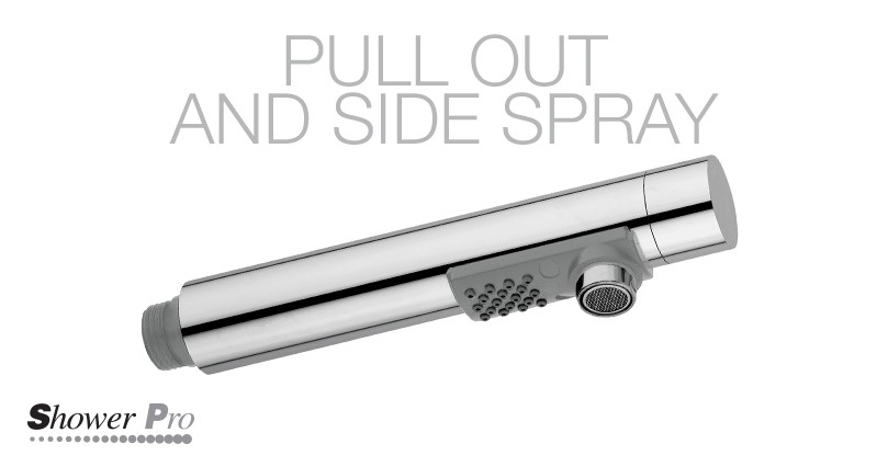 Pull out and side spray